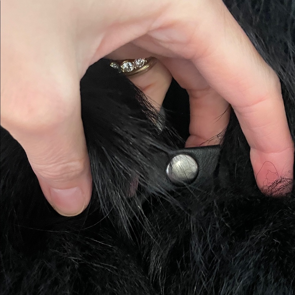 Elegant Black Fur Trim Cape - Picture 3 of 7